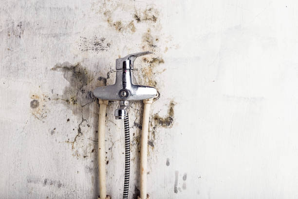 Best Water Damage Restoration  in Maysville, MO