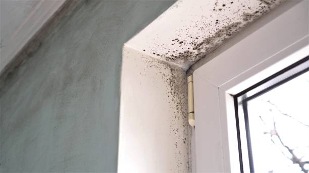 Water Damage Restoration in Maysville, MO