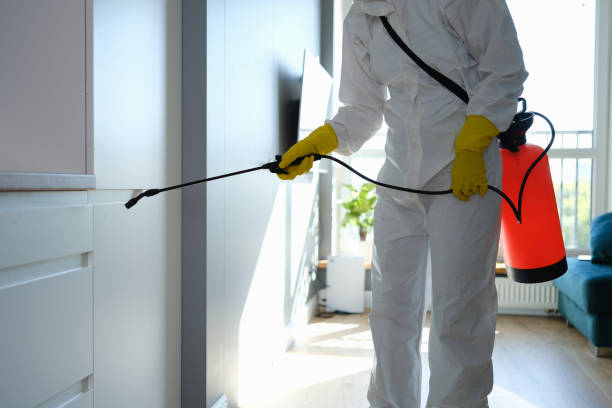 Certified Mold Removal in Maysville, MO